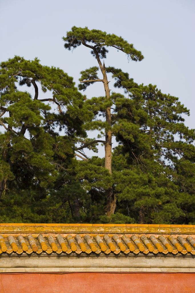 河北清西陵建筑