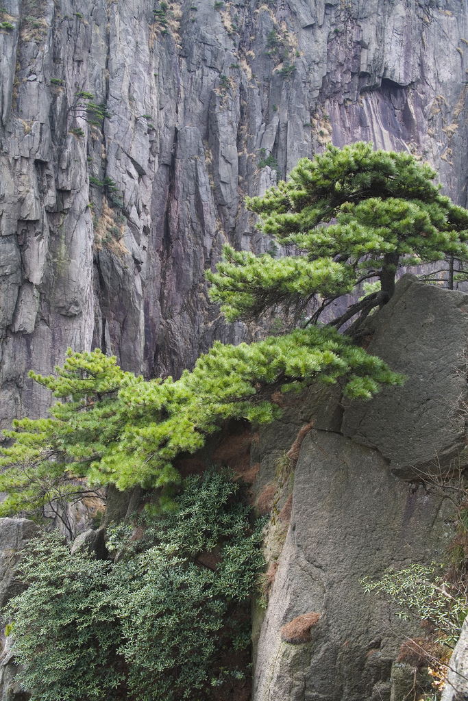 黄山