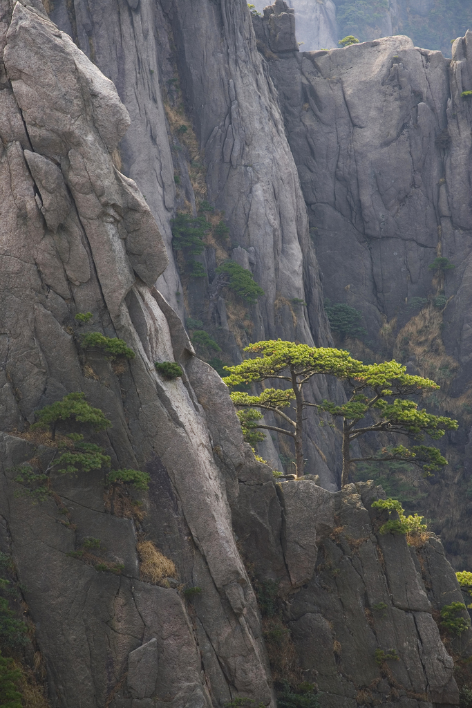 黄山图片