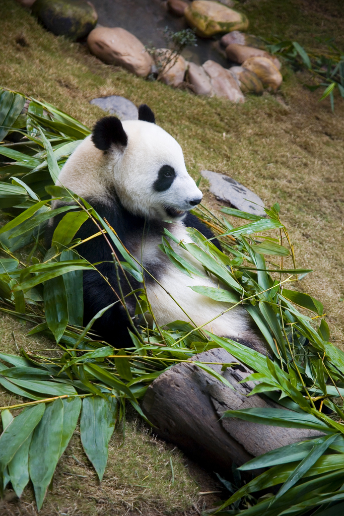 香港图片