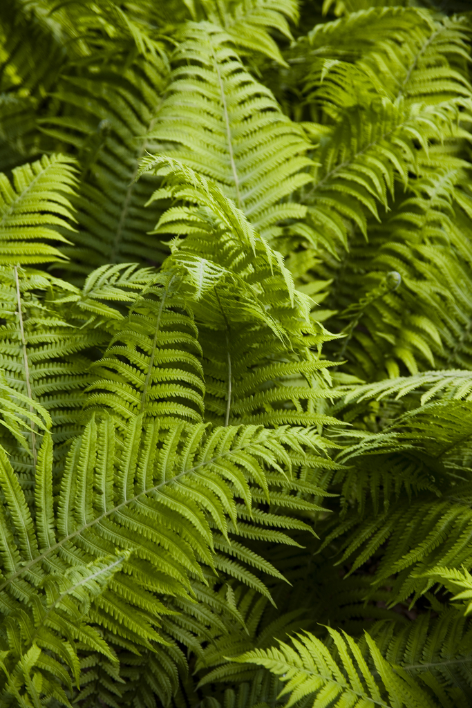 北京植物园图片