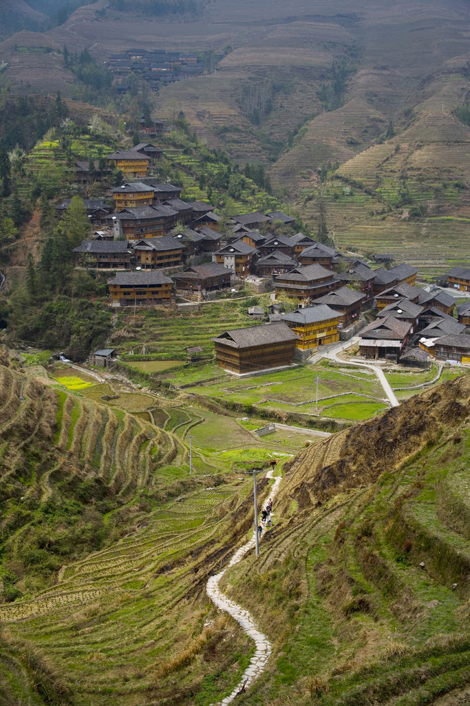 龙脊梯田图片