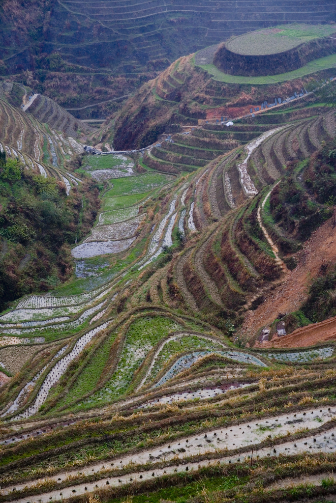 龙脊梯田