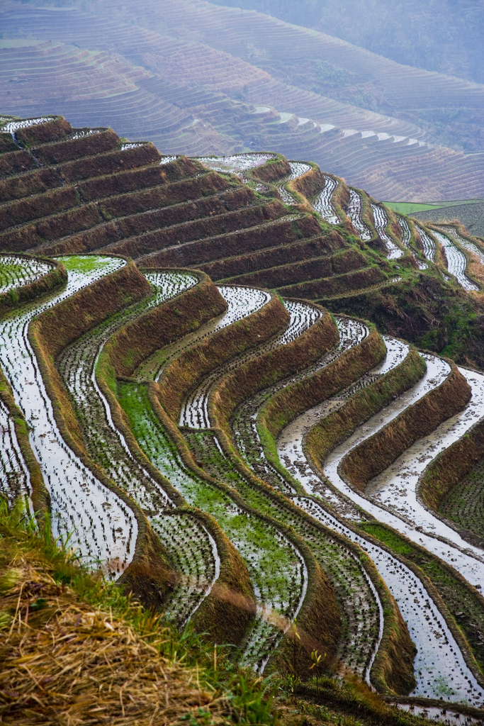 龙脊梯田图片