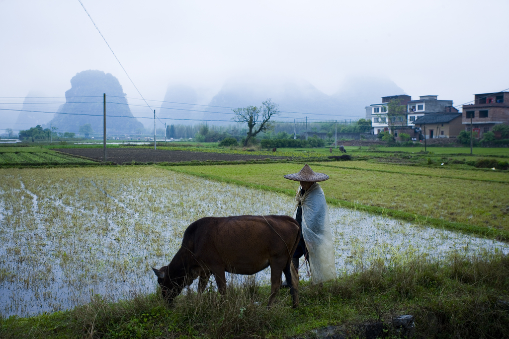 广西阳朔