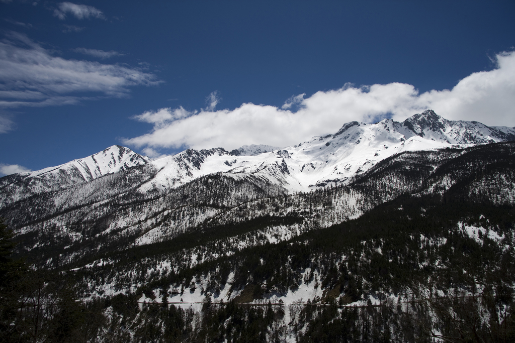 白马雪山图片