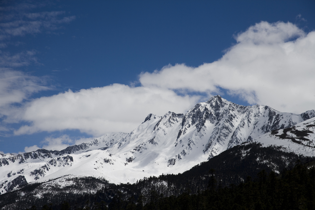 白马雪山图片