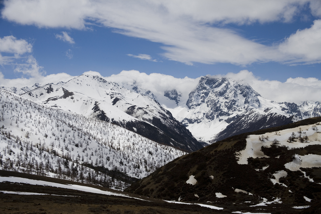 白马雪山图片