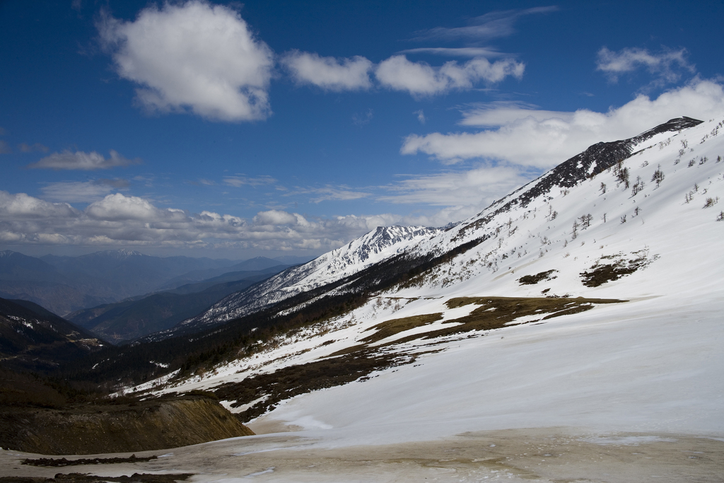 白马雪山图片