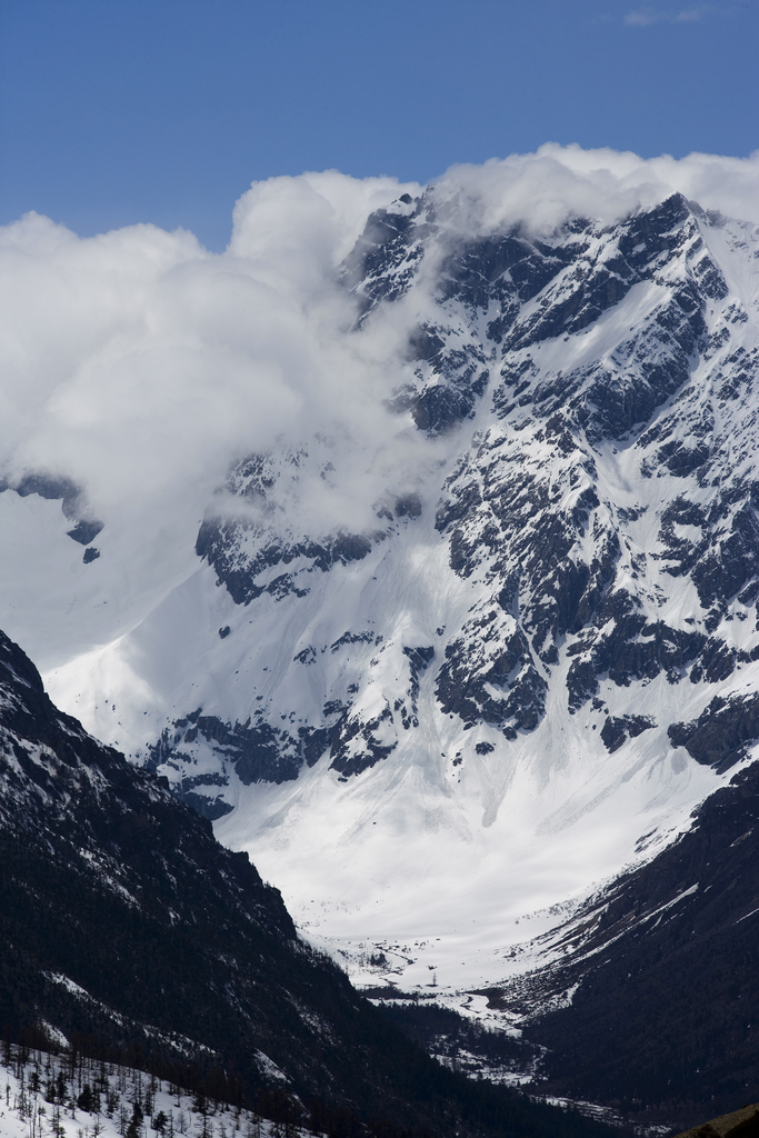 白马雪山图片