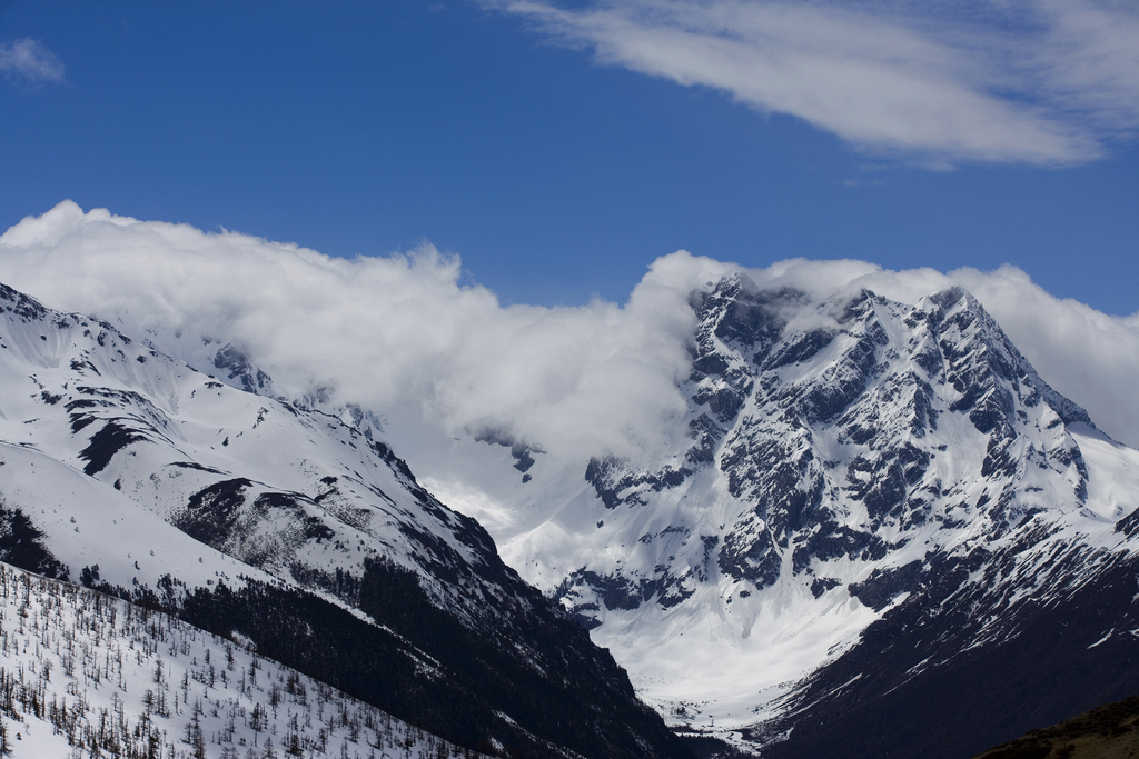 白马雪山图片