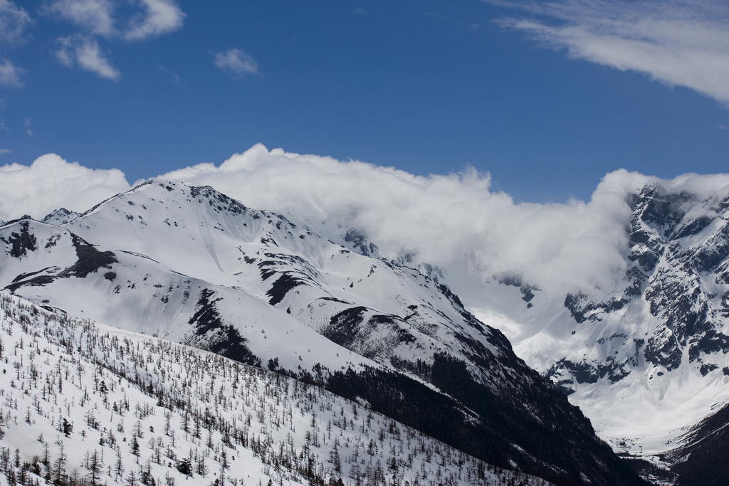 白马雪山