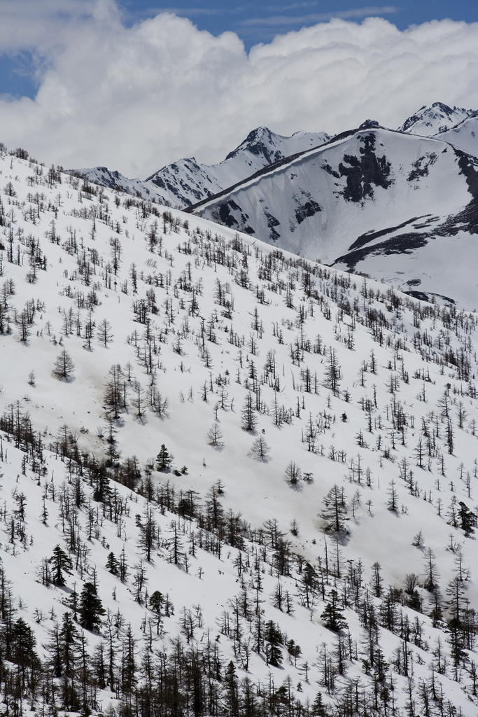 白马雪山