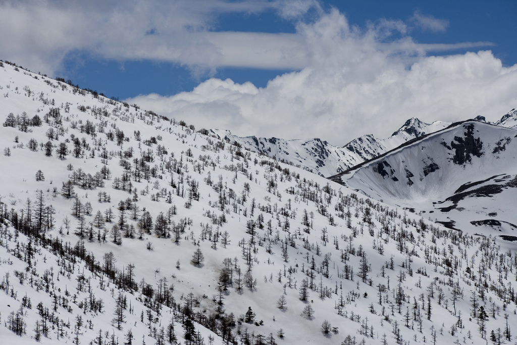 白马雪山图片