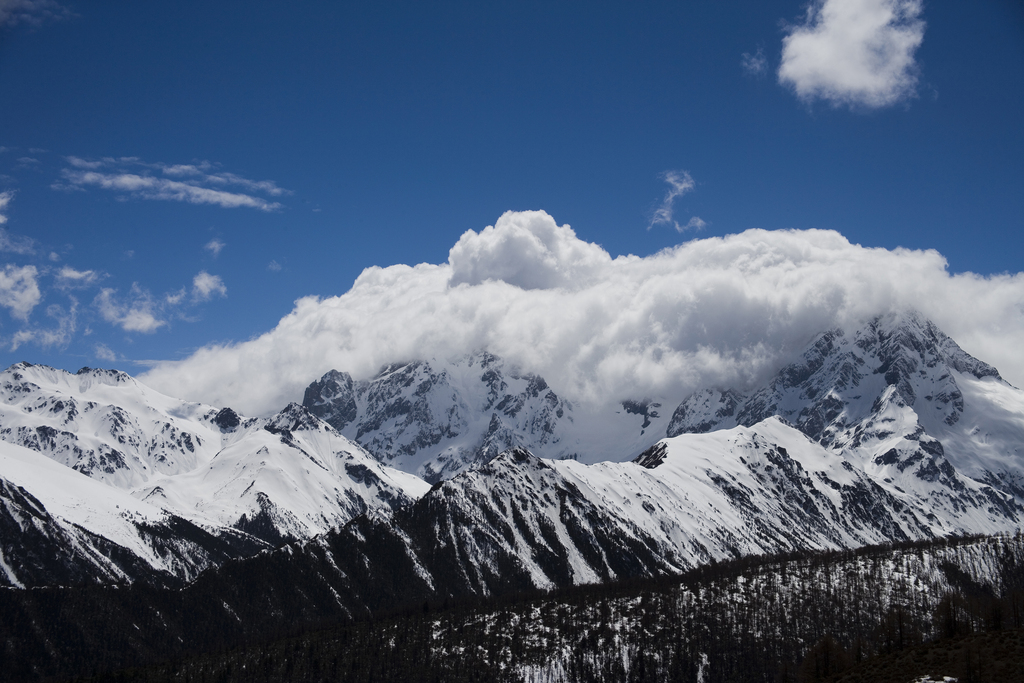 白马雪山图片