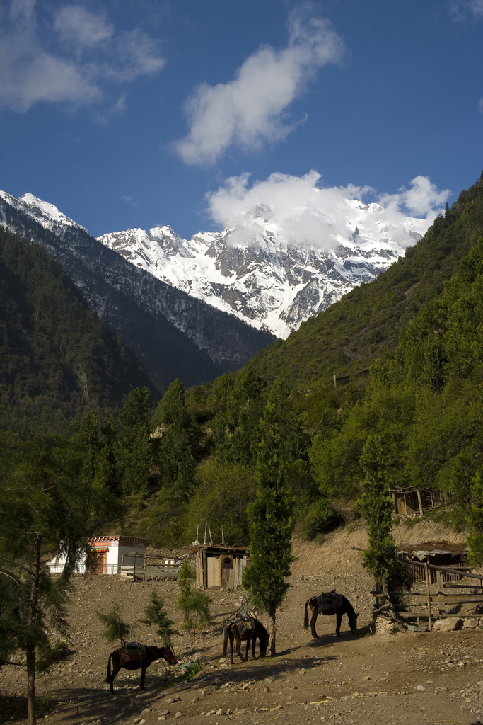 云南,德钦县,香格里拉,梅里雪山,明永冰川,图片