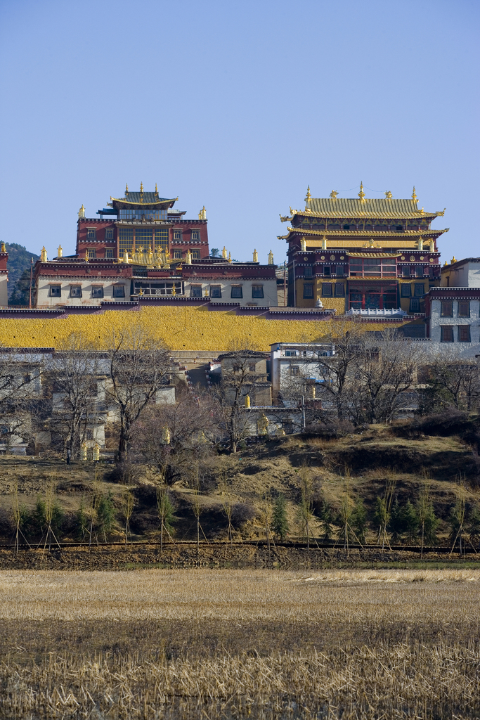 云南,迪庆,香格里拉,松赞林寺,图片