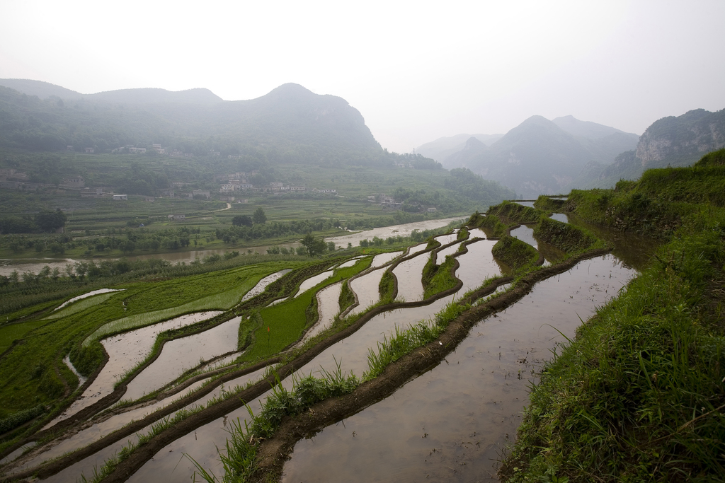 贵州,黄果树,图片