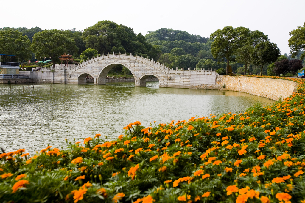 湖南,岳阳,洞庭湖君山风景区,图片