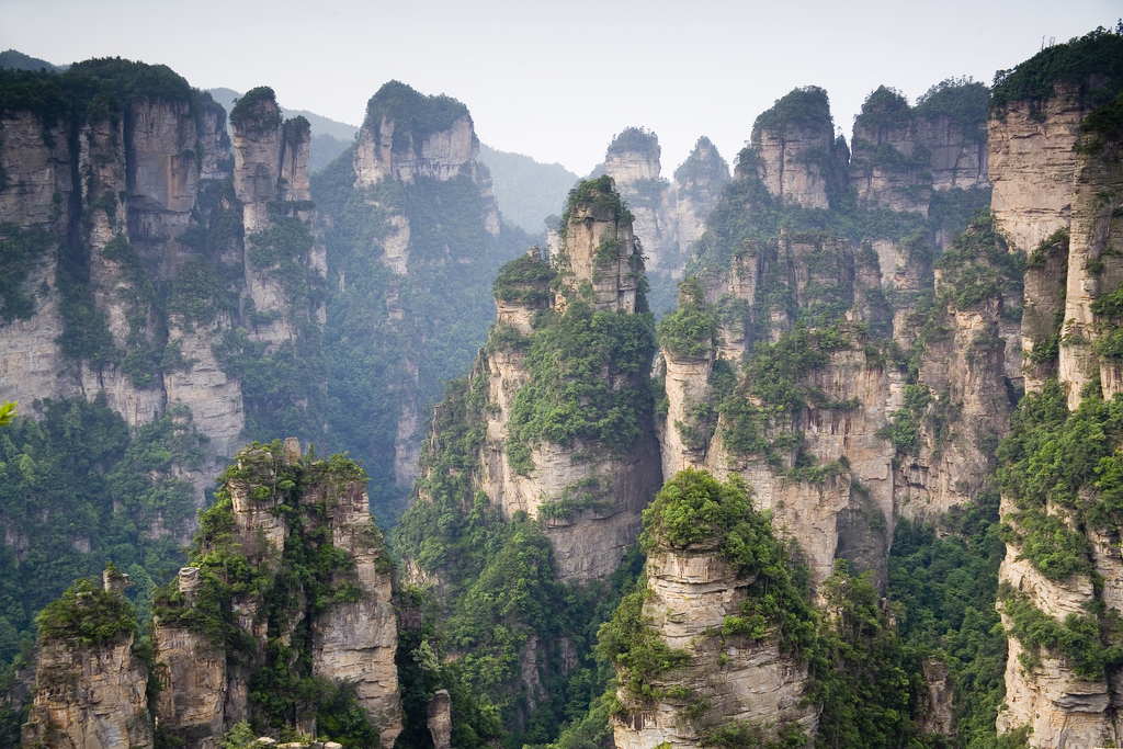 湖南,张家界,天子山,