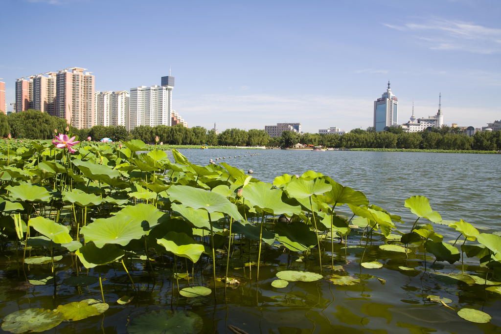 北京,莲花池公园