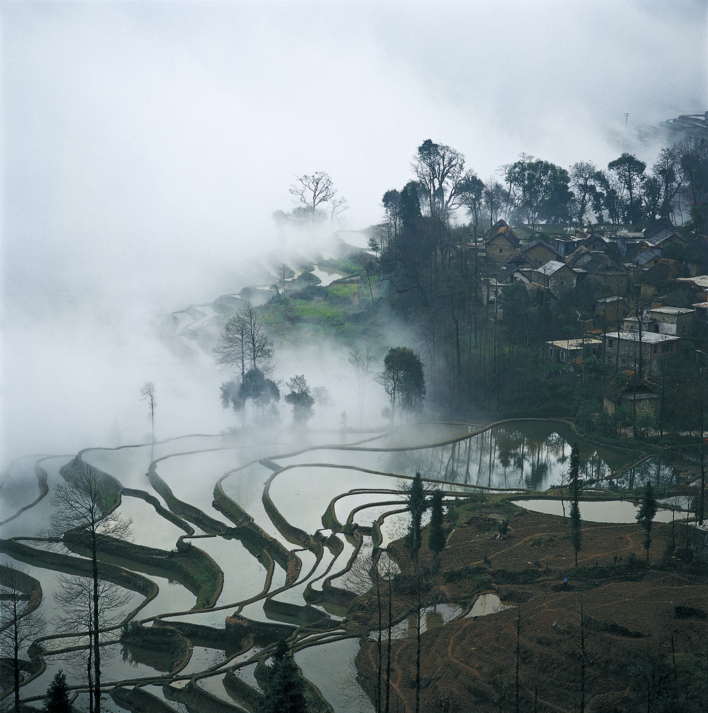 云南,元阳梯田图片