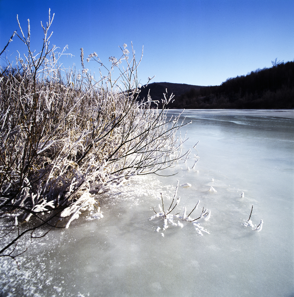 东北雪乡