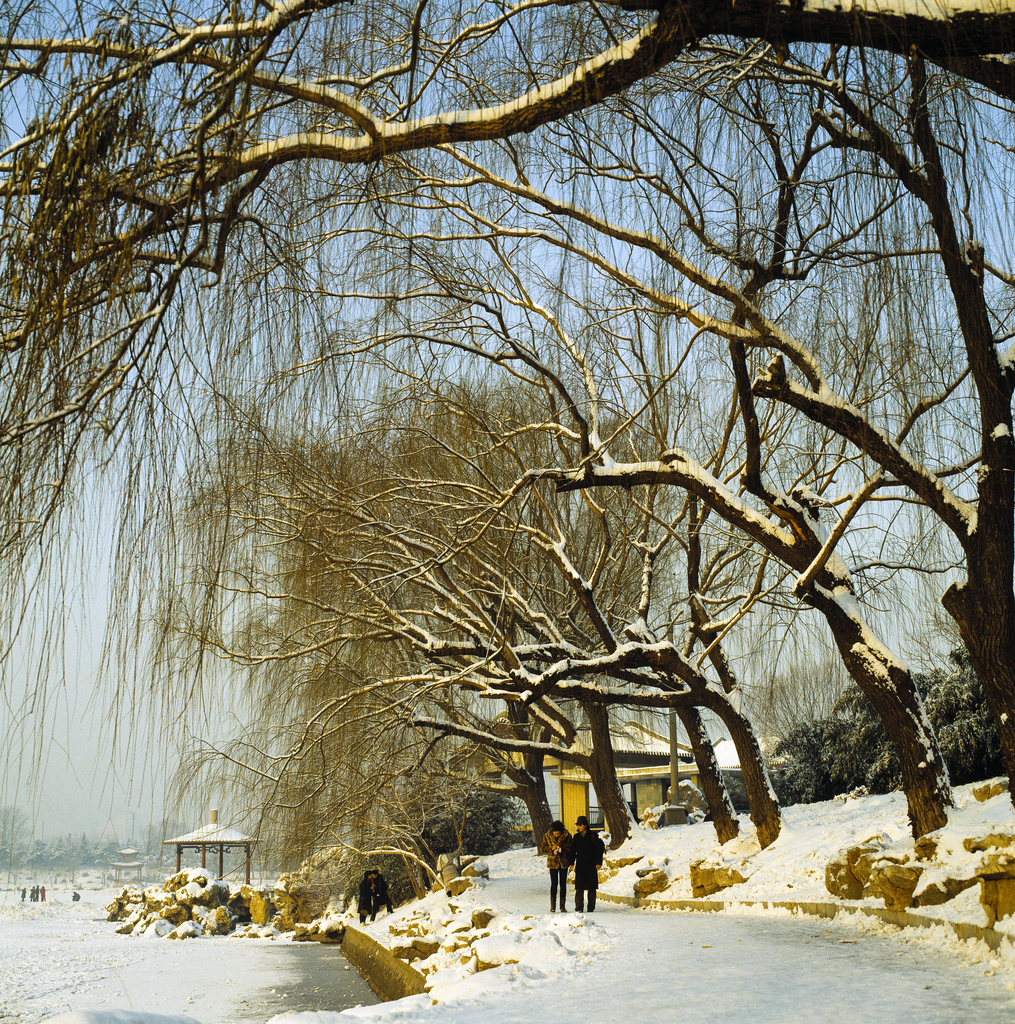 雪景