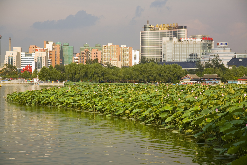 北京,莲花池公园