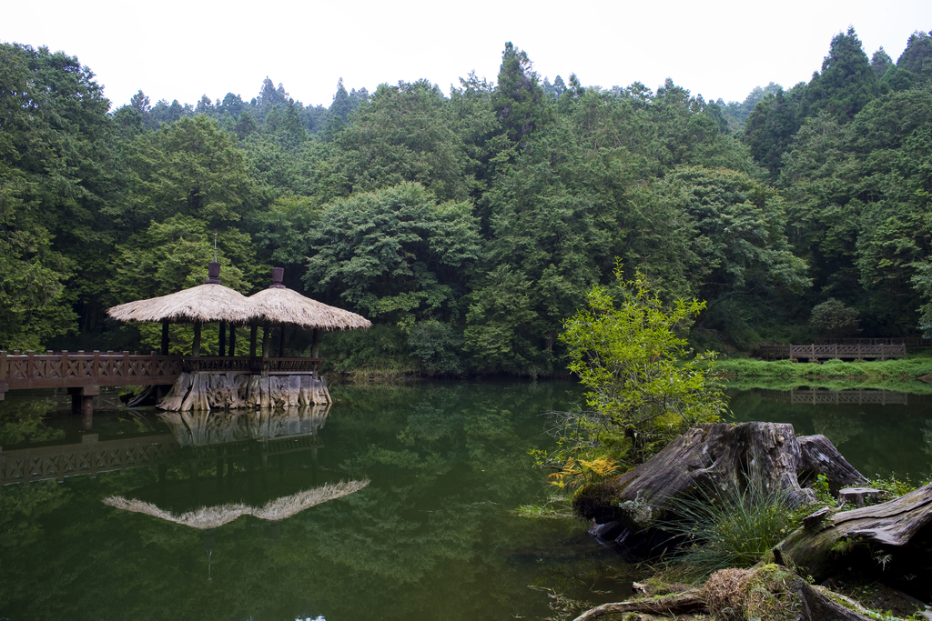 阿里山图片