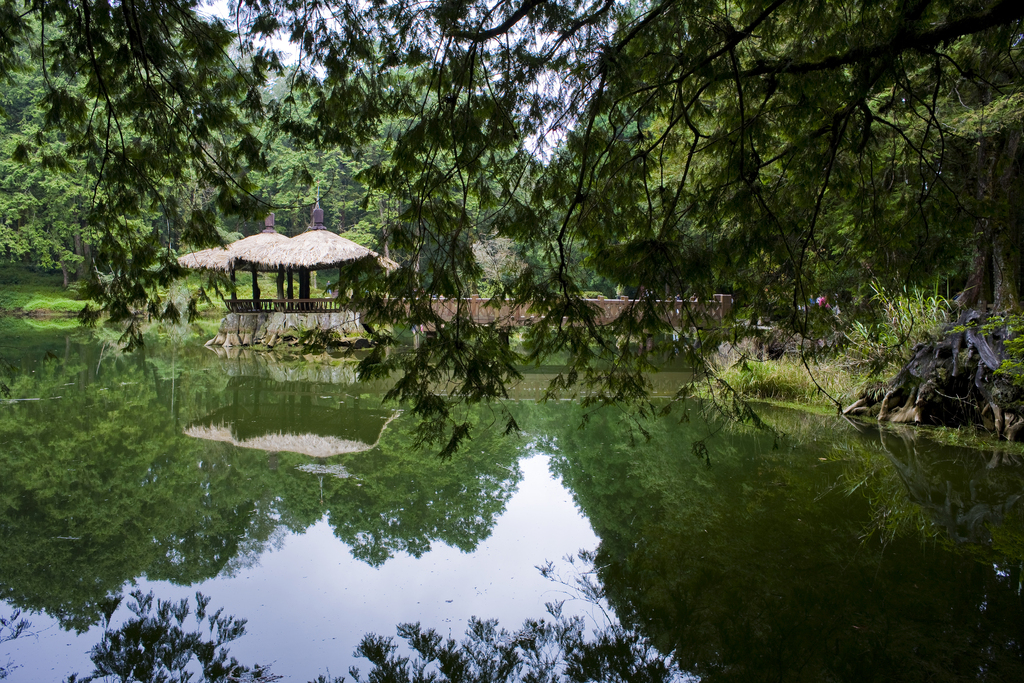 阿里山图片