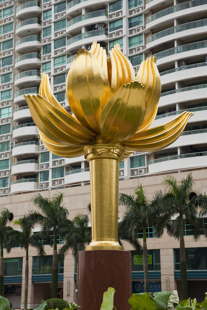 澳门金莲花广场图片