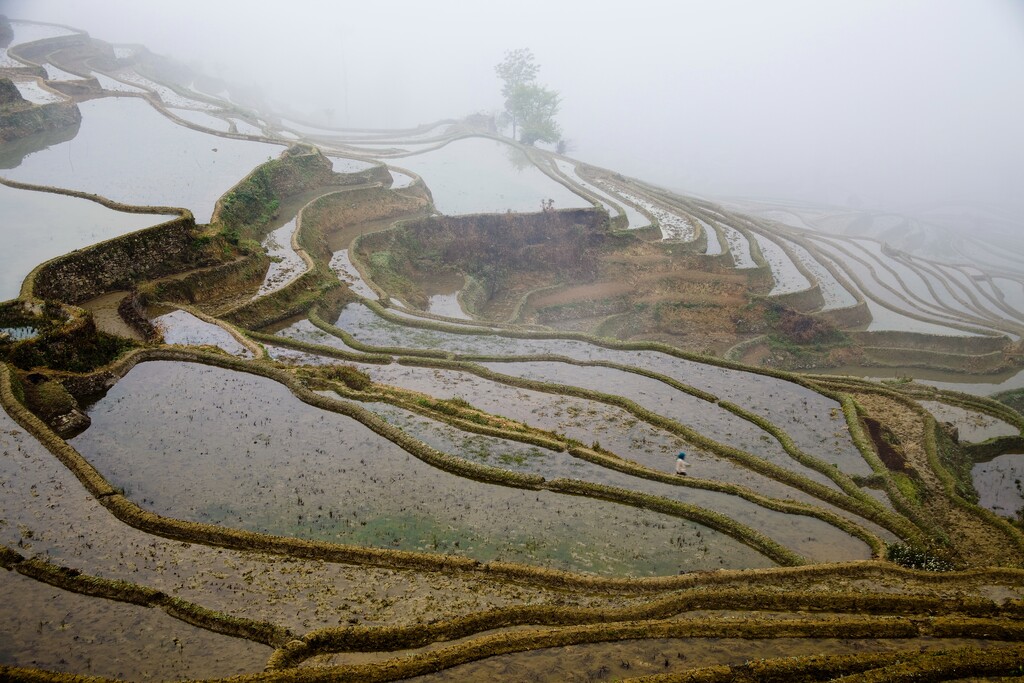 云南元阳梯田图片