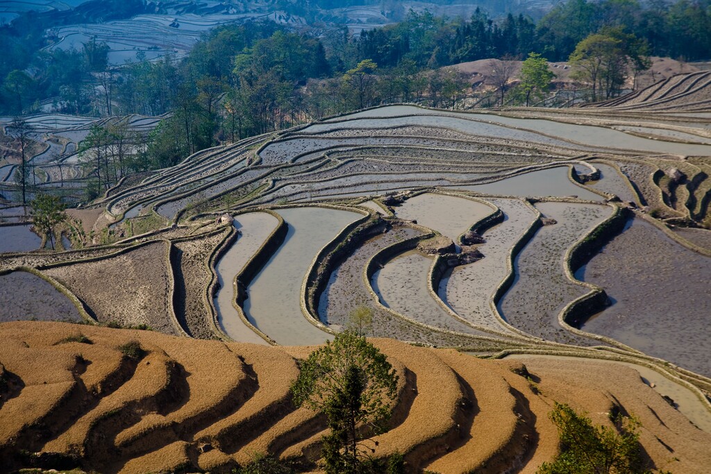 云南元阳梯田