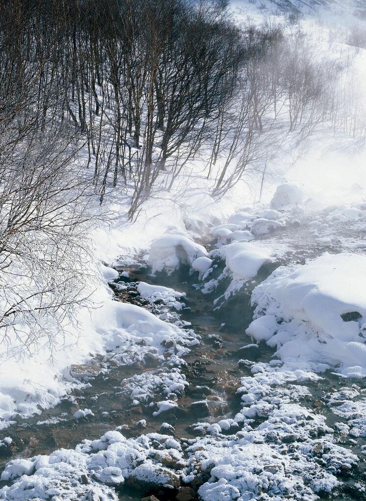 长白山雪景图片