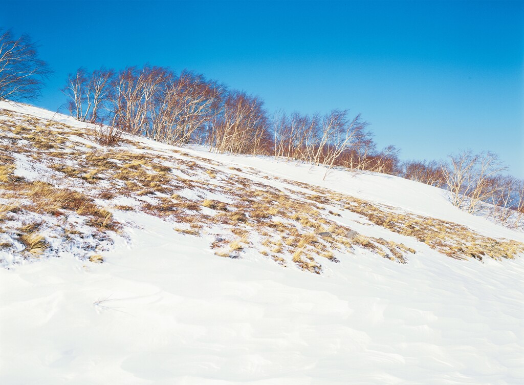 长白山雪景图片