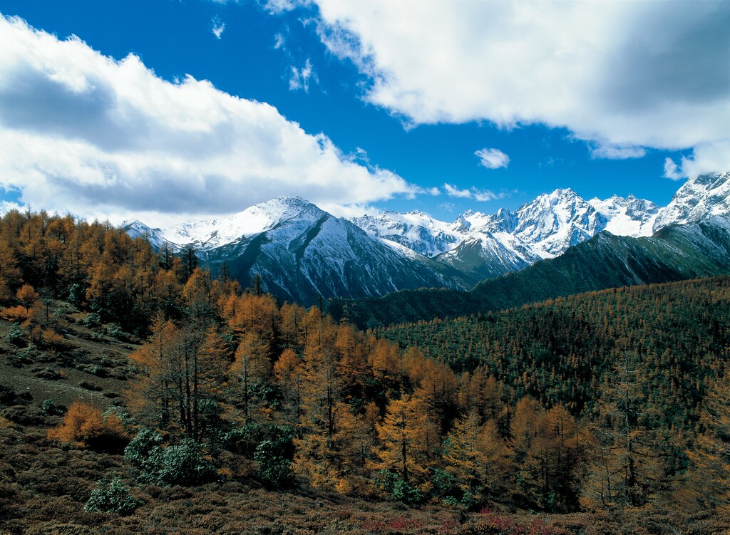 云南香格里拉白茫雪山图片