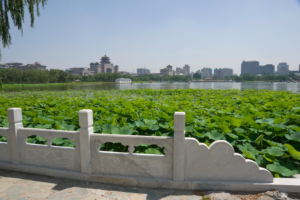 北京莲花池公园