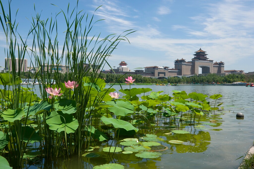 北京西客站莲花池公园风光