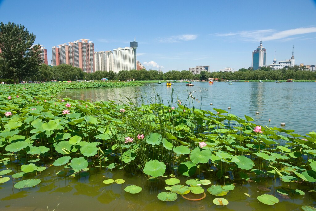 北京莲花池公园风光