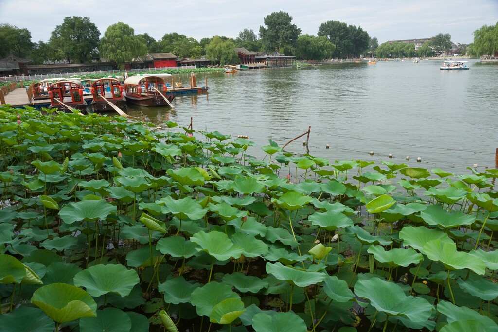 北京什刹海