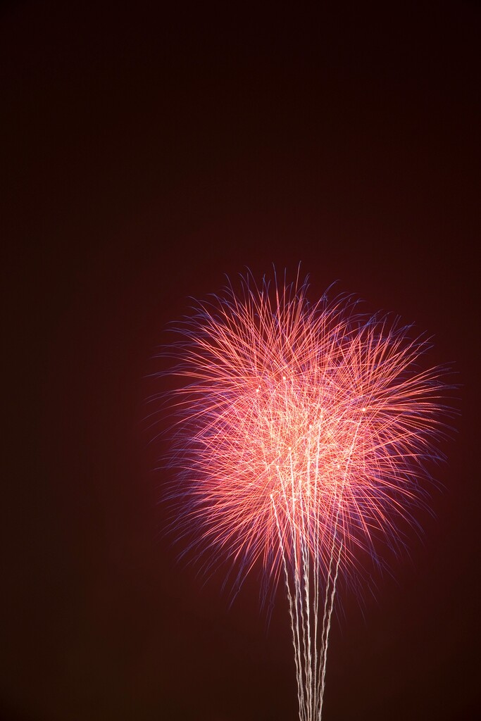 北京朝阳公园礼花