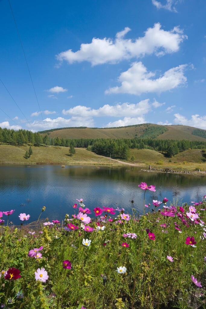 河北承德坝上草原图片