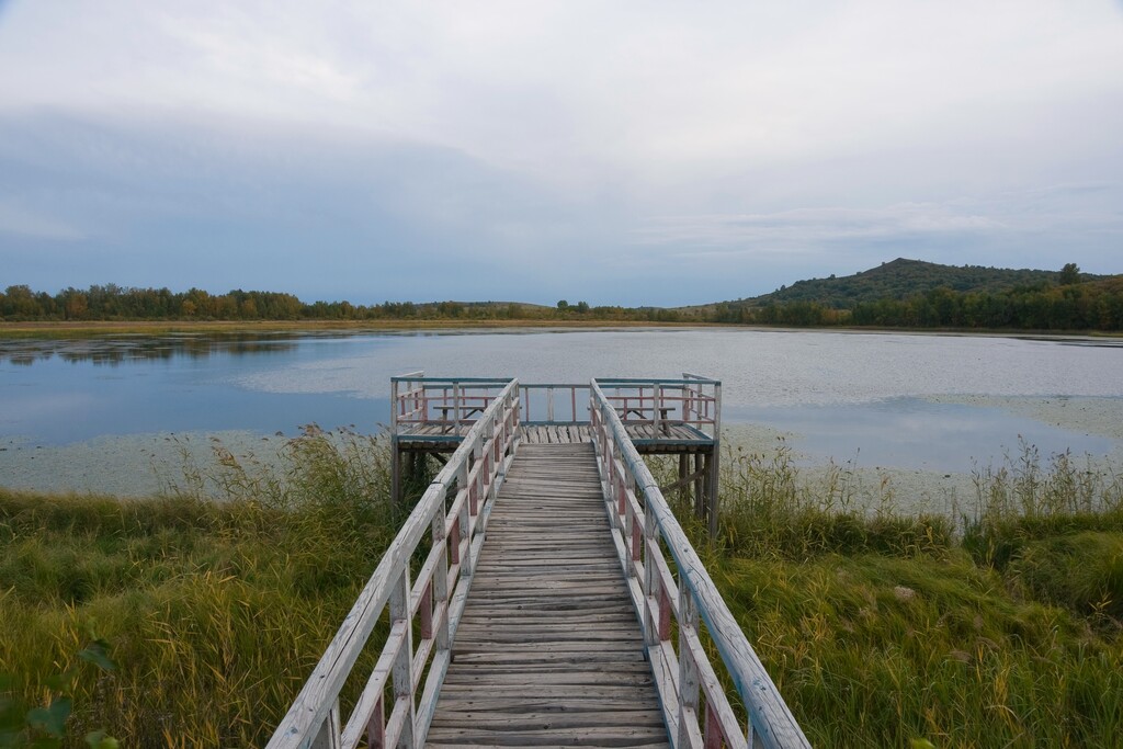 河北承德坝上草原图片