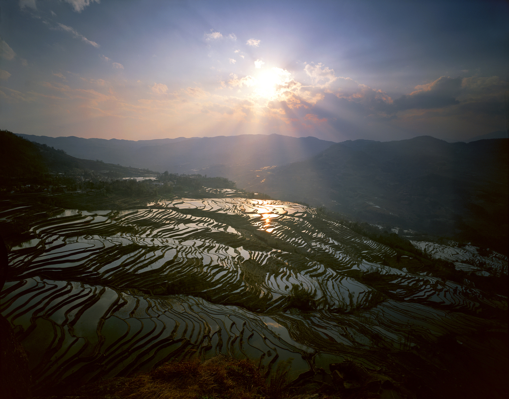 云南元阳梯田图片