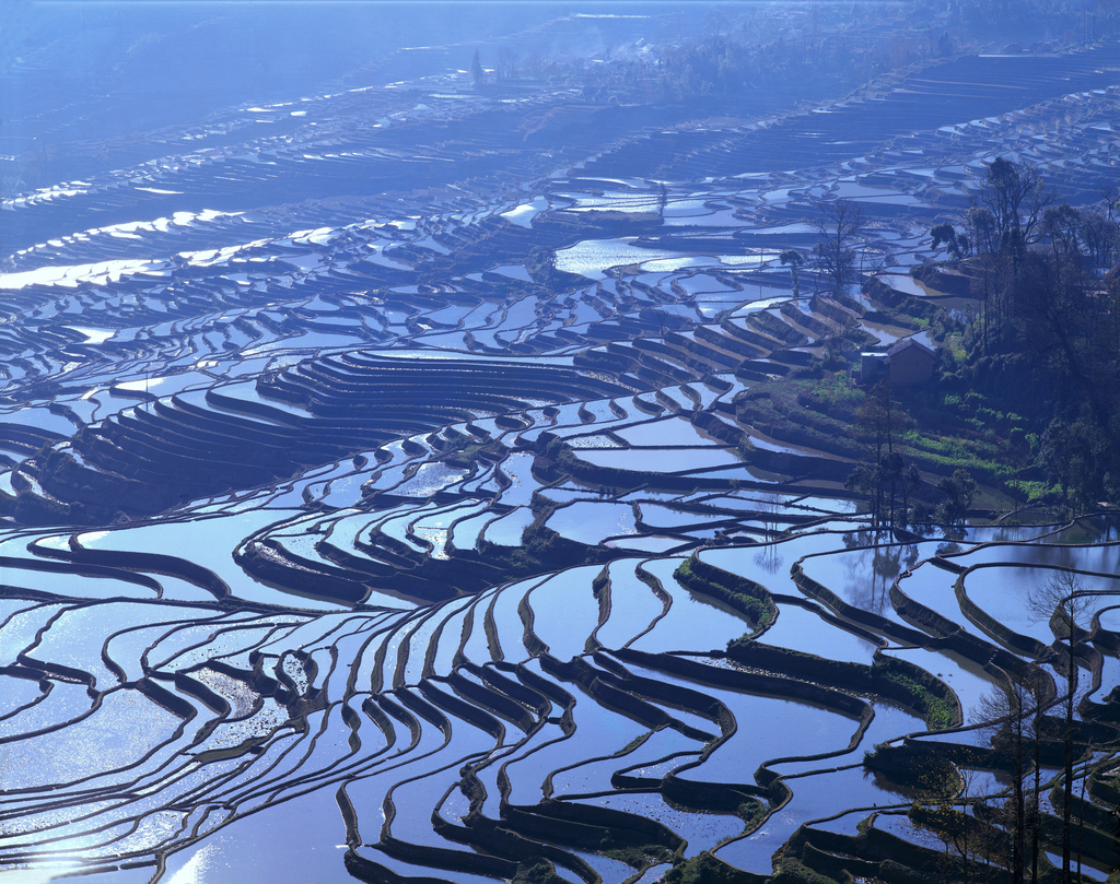 云南元阳梯田图片