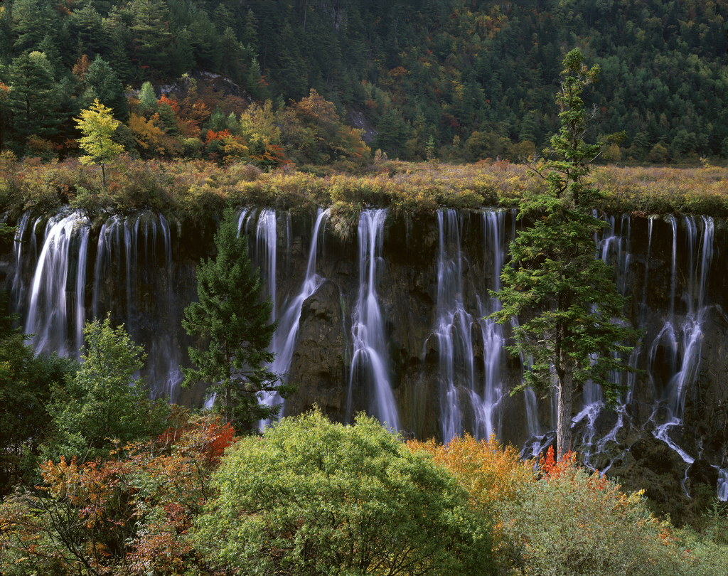 四川九寨沟诺日朗瀑布图片