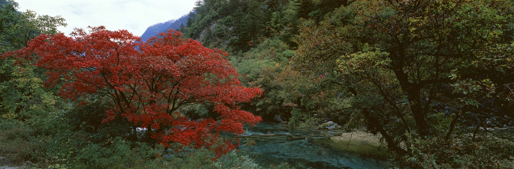 四川九寨沟图片