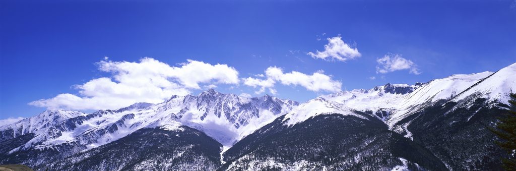 云南白茫雪山图片