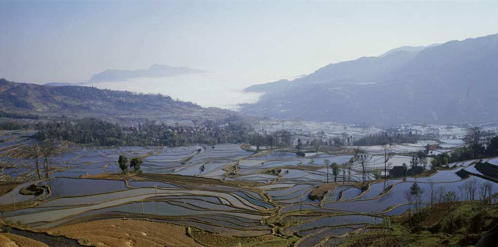 云南元阳梯田图片